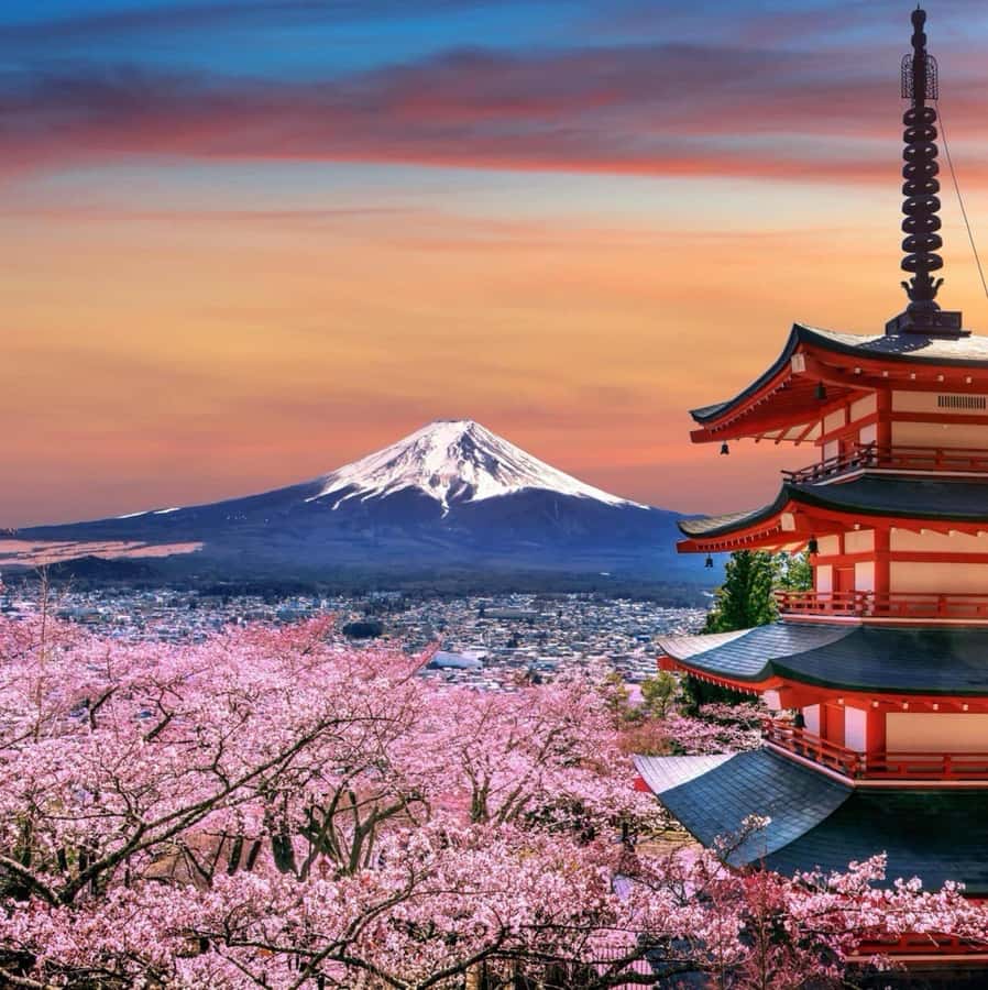 From Tokyo: Mount Fuji Full Day Private Tour English Guide - Shrines, Extra Stops, and a More Personal Route