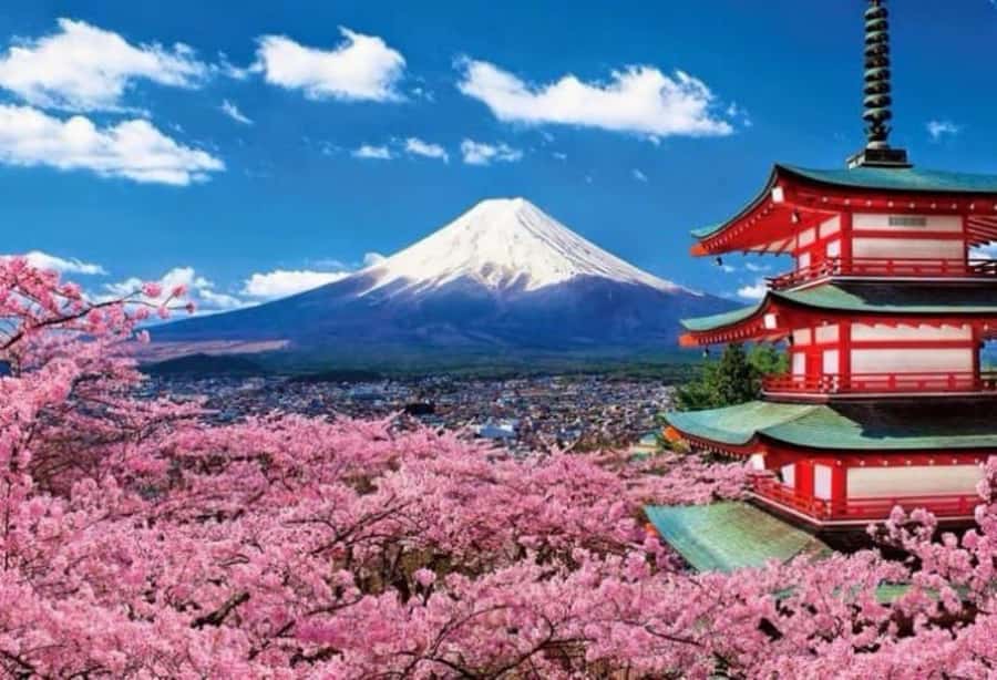 From Tokyo: Mount Fuji Full Day Private Tour English Guide - The Driver Makes or Breaks the Day