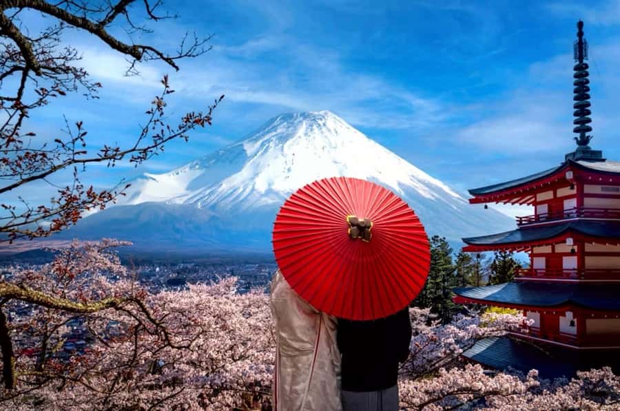 From Tokyo: Mount Fuji Full Day Private Tour English Guide - Who Gets the Best Value