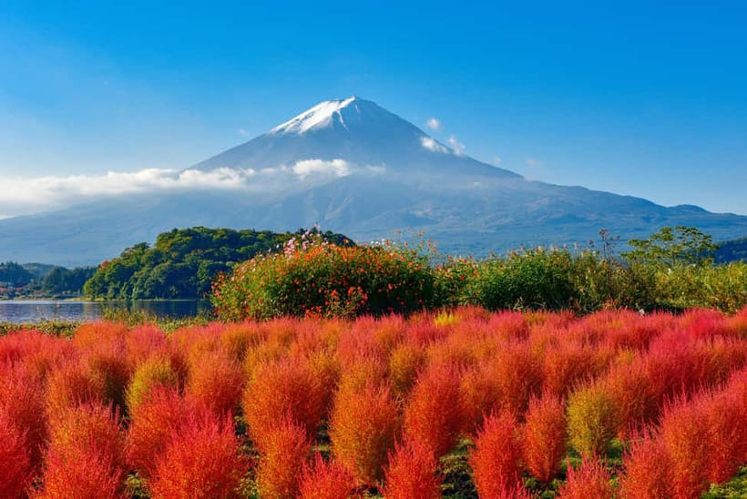 From Tokyo: Mount Fuji Full-Day Sightseeing Trip - Key points to know before booking