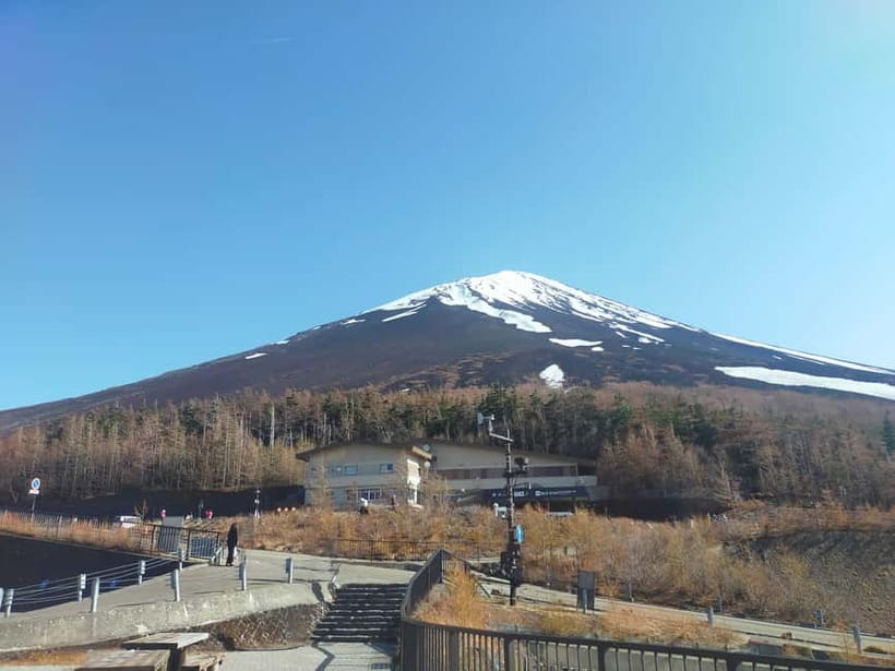 From Tokyo: Mount Fuji Full-Day Sightseeing Trip - Who should book this Mount Fuji tour?