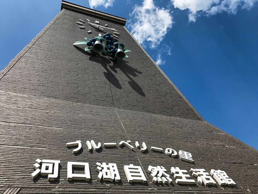 From Tokyo: Mount Fuji Full-Day Sightseeing Trip - Walking, weather, and the practical trade-offs