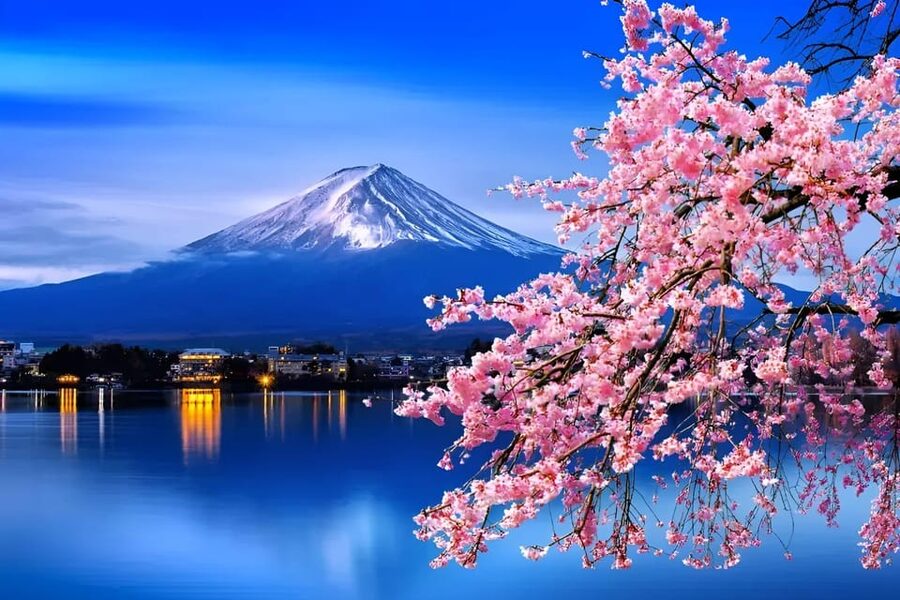 From Tokyo: Mount Fuji & Hakone Full Day Private Tour - Saiko Iyashi-no-Sato Nenba and old village Japan