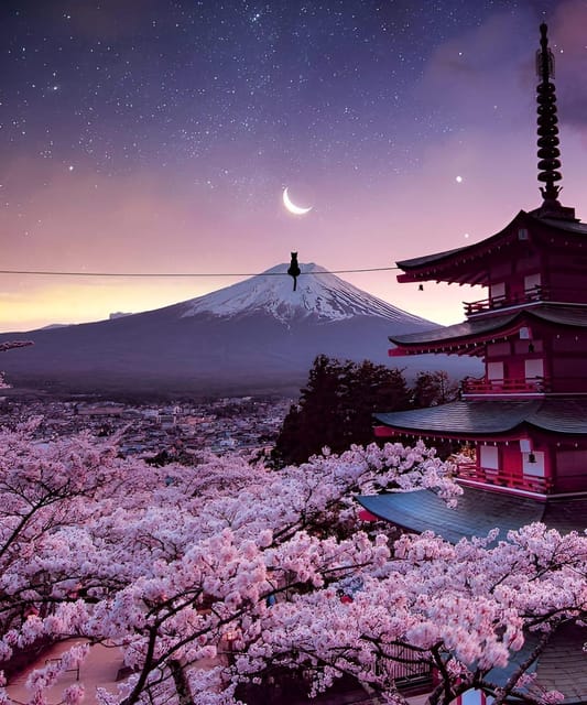From Tokyo: Mount Fuji & Hakone Full Day Private Tour - Owakudani Valley and the volcanic side of Hakone