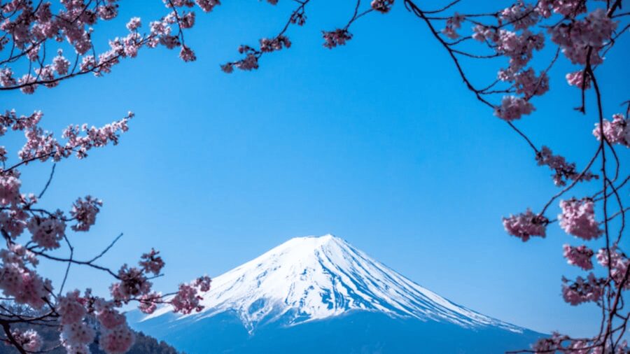 From Tokyo: Mount Fuji Private Day Tour With English Guide - Key points to know before booking