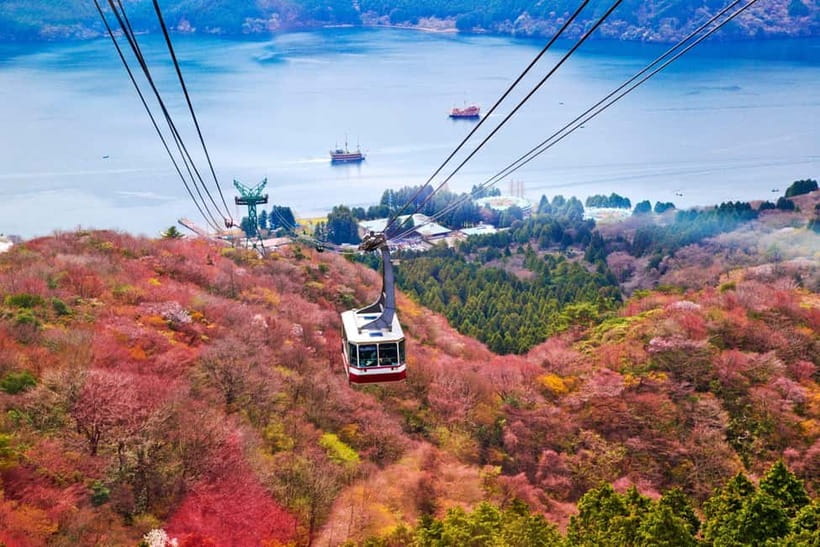 From Tokyo: Mount Fuji Private Tour With English Guide - Food, language, and practical comfort