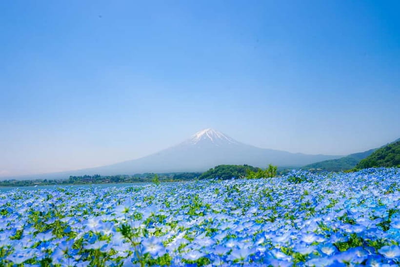 From Tokyo: Mt Fuji, Arakurayama and Kawaguchi Lake Day Trip - Weather, crowds, and the Fuji gamble