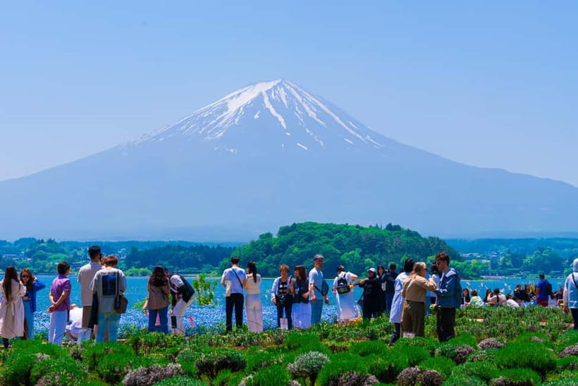 From Tokyo: Mt Fuji, Arakurayama and Kawaguchi Lake Day Trip - Lake Kawaguchi, Oishi Park, and the seasonal Maple Corridor