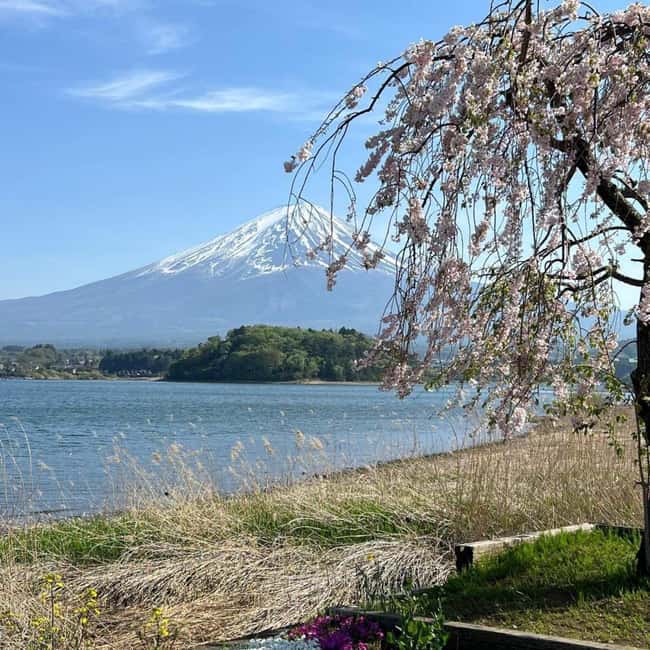From Tokyo: Mt Fuji Private Day Tour In Luxury Land Cruiser - Arakurayama Sengen Park and Chureito Pagoda
