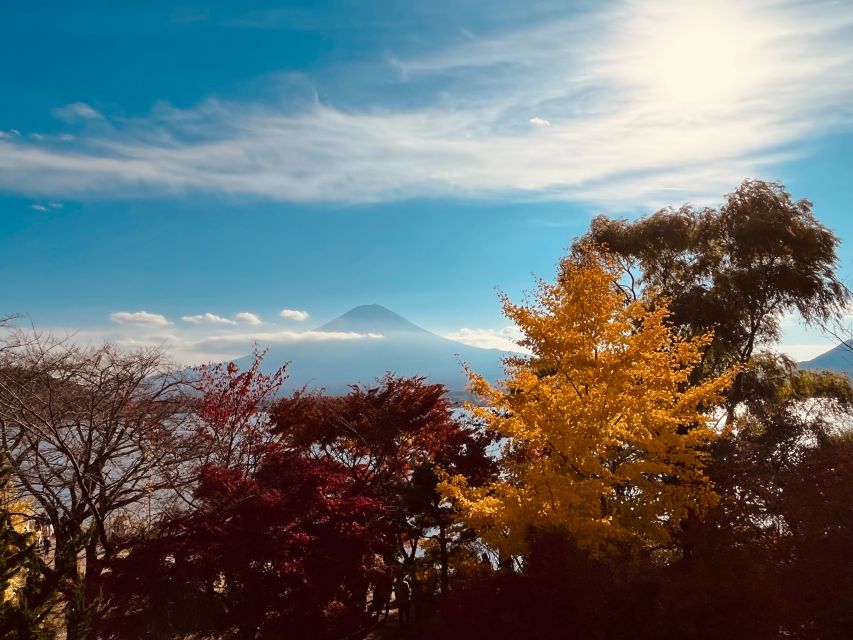From Tokyo: Mt.Fuji, Tea Ceremony & Outlet Shopping Day Tour - Lake Kawaguchi and the Shikido tea stop