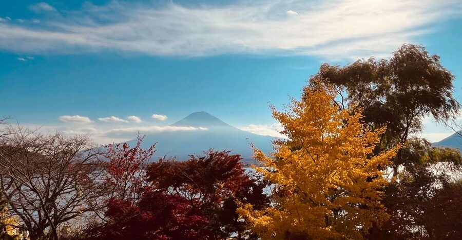 From Tokyo: Mt.Fuji, Tea Ceremony & Outlet Shopping Day Tour - Meeting the coach in Shinjuku
