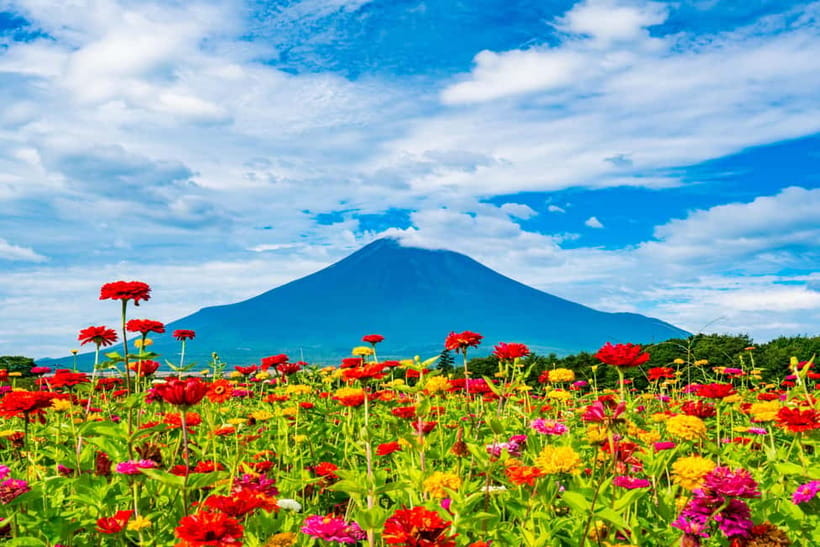 From Tokyo: Must-Visit Mount Fuji Highlight Full-Day Tour - Guides, languages, and the rhythm of a big coach