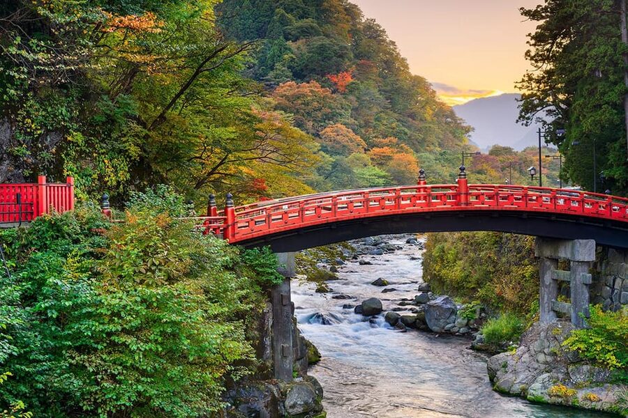 From Tokyo: Nikko World Heritage Site Private Full-Day Trip - Toshogu Shrine, the main cultural stop