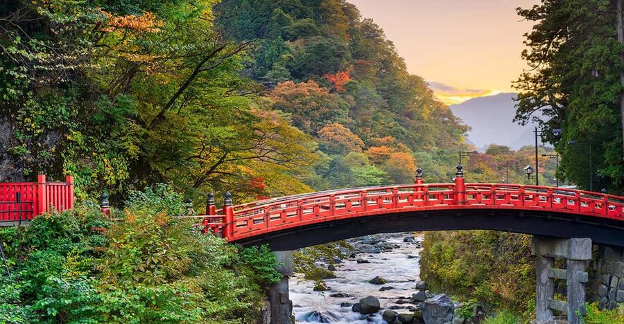 From Tokyo: Nikko World Heritage Site Private Full-Day Trip - Lunch, Rinno-ji Temple, and Shinkyo Bridge