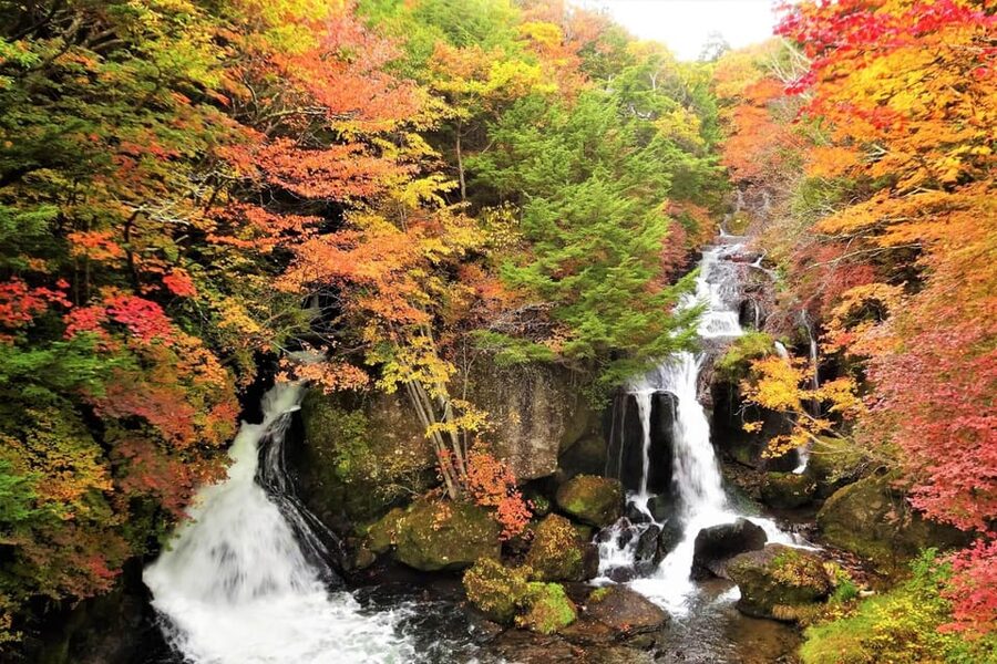 From Tokyo: Nikko World Heritage Site Private Full-Day Trip - Akechidaira Ropeway and the first mountain views