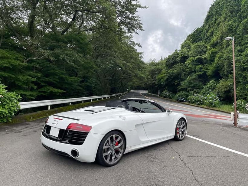 From Tokyo: Private JDM/Sports Car Tour to Mt Fuji & Hakone - Hakone Turnpike and the pleasure of the road