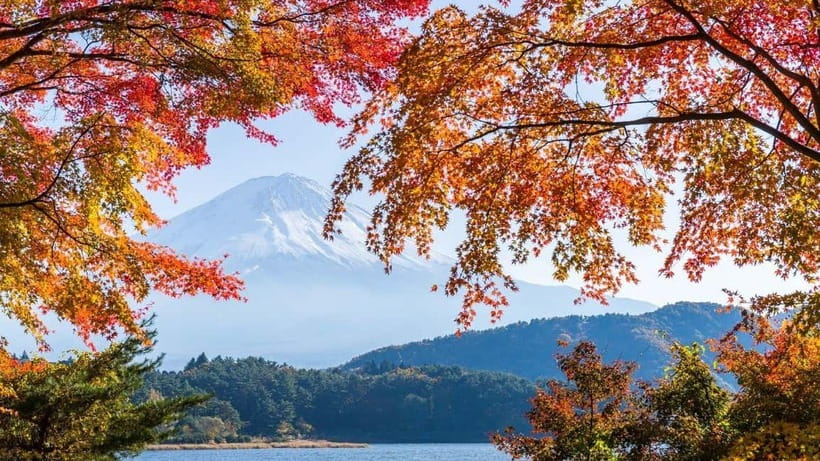 From Tokyo: Private Mt. Fuji and Hakone Tour by Car - Key points at a glance