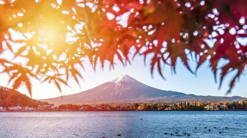 From Tokyo: Private Mt. Fuji and Hakone Tour by Car - A private route from Tokyo to Japan’s highest peak