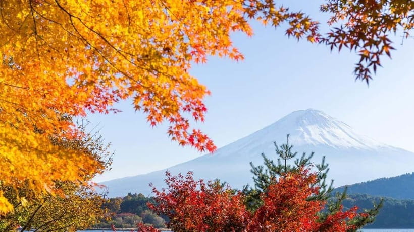 From Tokyo: Private Mt. Fuji and Hakone Tour by Car - Lunch is flexible, but not included