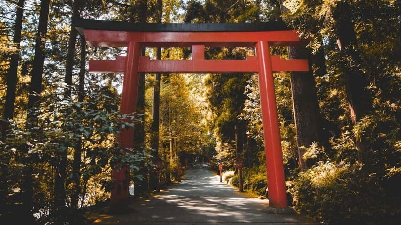 From Tokyo: Private Mt. Fuji and Hakone Tour by Car - Mt. Fuji 5th Station requires a clear choice