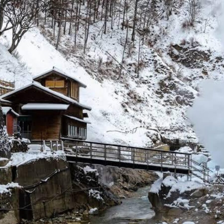 From Tokyo: Private Tour Snow Monkey Park & Zenko-ji Temple - Matsushiro Castle Ruins and samurai-era Nagano