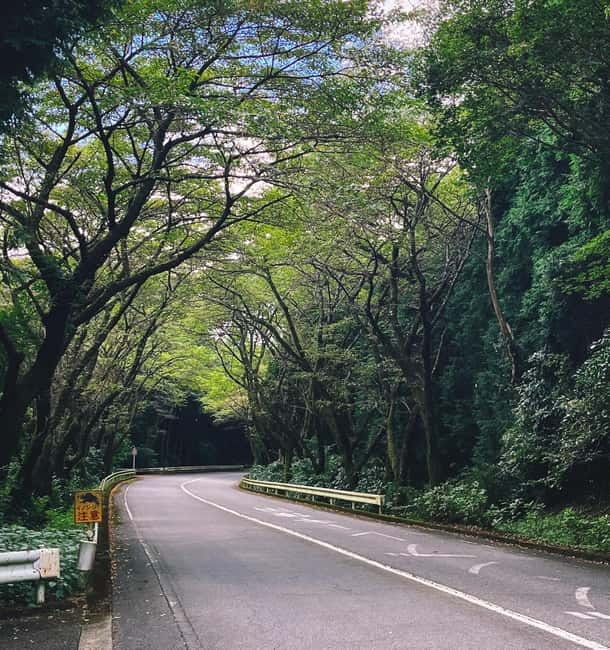 From Tokyo: Private Tour to Fuji/Hakone - Onsen, Art, Nature - Lake Ashi and the quiet of Hakone Shrine