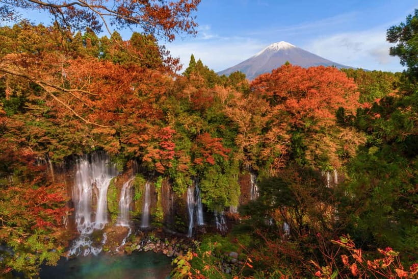 From Tokyo: Private Tour to Fuji/Hakone - Onsen, Art, Nature - Shakushi Pass and the value of small stops