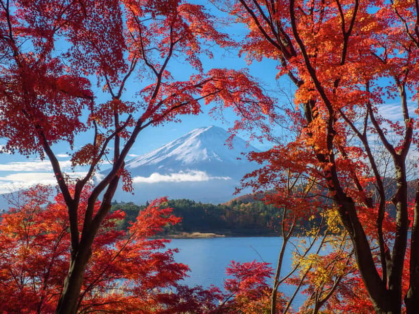 From Tokyo: Private Tour to Fuji/Hakone - Onsen, Art, Nature - What to bring and what to budget