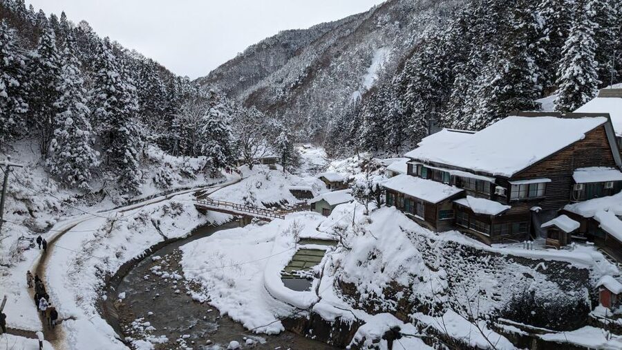 From Tokyo: Snow Monkey 1 Day Tour with Beef Sukiyaki Lunch - Two hours with the macaques