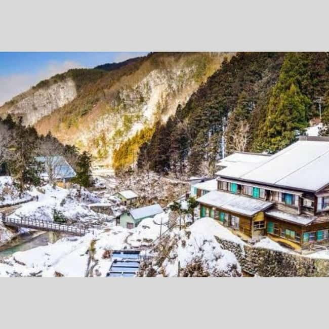From Tokyo: Snow Monkey Park and Miso Production Day Tour - Who should book this tour