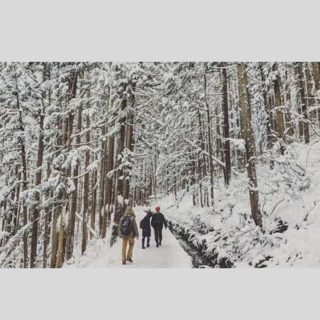From Tokyo: Snow Monkey Park and Miso Production Day Tour - Jigokudani Monkey Park: the day’s main event