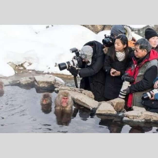 From Tokyo: Snow Monkey Park and Miso Production Day Tour - Matsushiro Castle Ruins and feudal Nagano