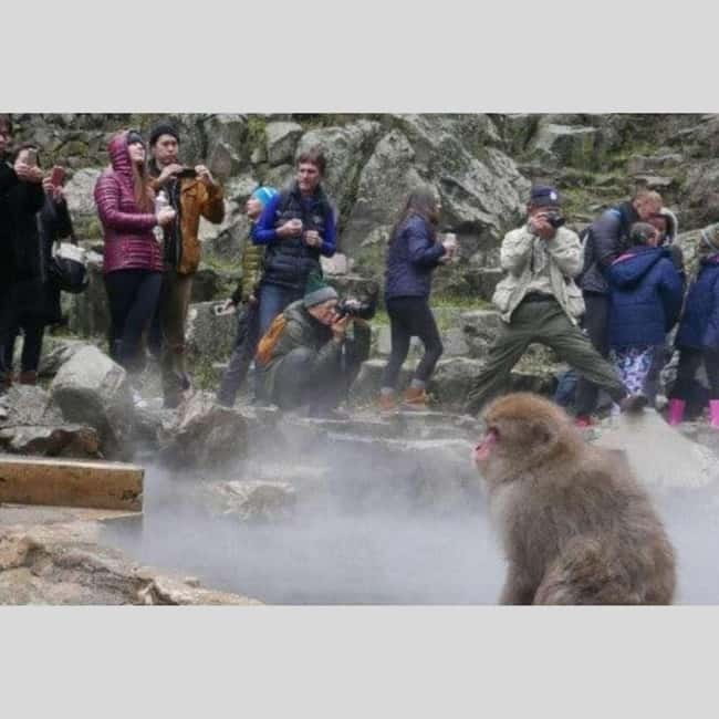 From Tokyo: Snow Monkey Park and Miso Production Day Tour - Shibu Onsen: a traditional hot spring finish