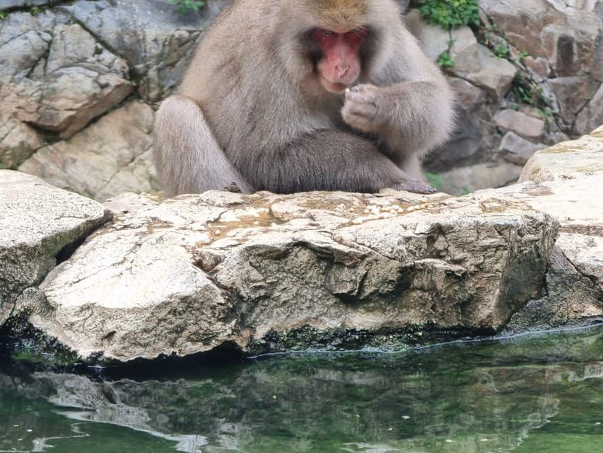 From Tokyo: Snow Monkey Private Customize Day Tour - Shibu Onsen brings old-style hot-spring town atmosphere
