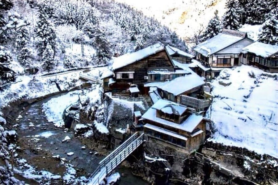 From Tokyo: Snow Monkey Private Customize Day Tour - Your driver is part of the experience