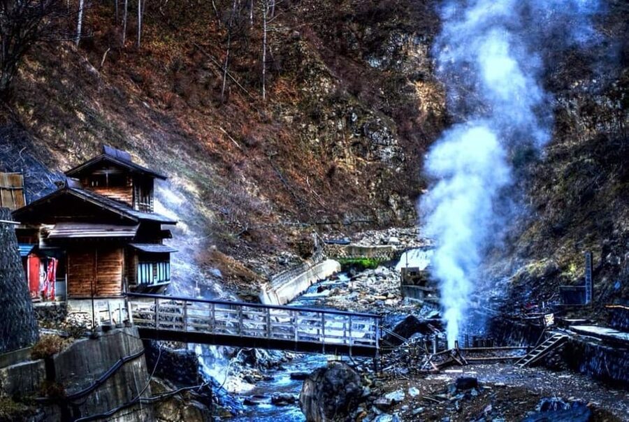 From Tokyo: Snow Monkey Private Customize Day Tour - Who should book this private Nagano trip