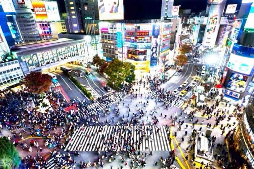 From Tokyo: Tokyo Private Customize Tour With English Driver - Why a private car can make Tokyo easier