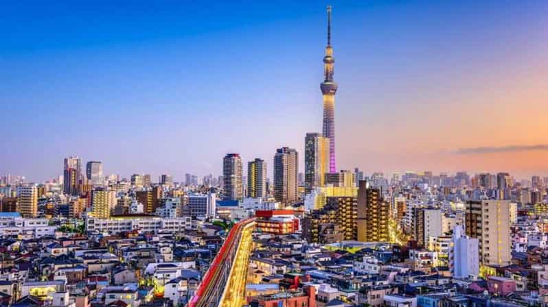 From Tokyo: Tokyo Private Customize Tour With English Driver - Meiji Shrine and Harajuku