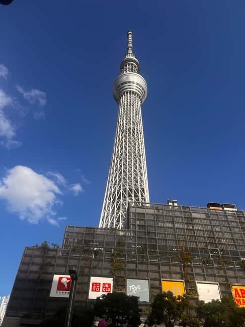 From Tokyo: Tokyo Private Customize Tour With English Driver - Tsukiji Outer Market for food and local flavor