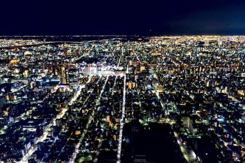 From Tokyo: Tokyo Private Customize Tour With English Driver - Shibuya Crossing and Harajuku’s city energy