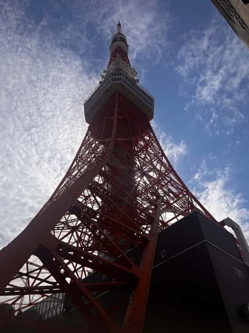 From Tokyo: Tokyo Private Customize Tour With English Driver - What the driver adds to the day