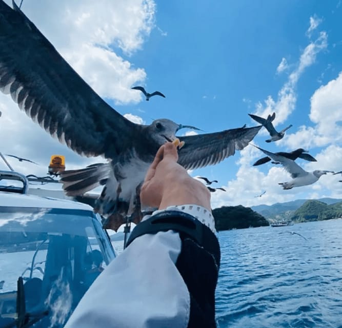 FromOsaka/Kyoto:Hiroshima & Miyajima Private Tour with Lunch - Key points at a glance