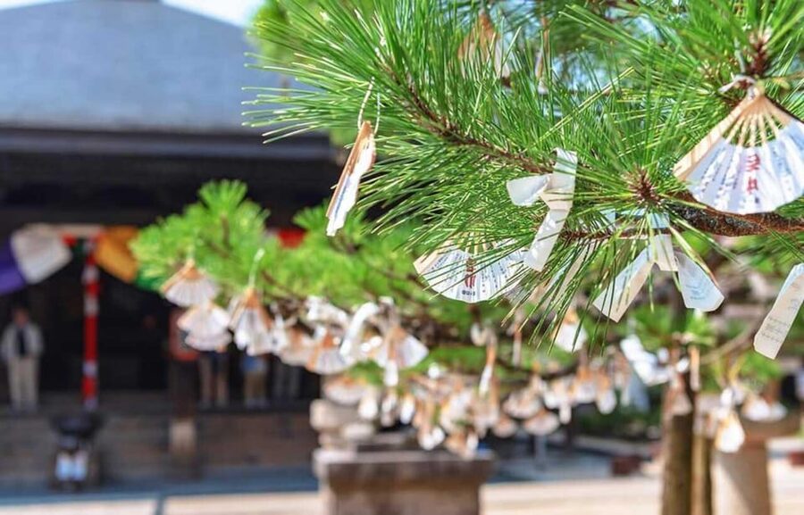 FromOsaka/Kyoto:Hiroshima & Miyajima Private Tour with Lunch - Itsukushima Shrine and the famous gate