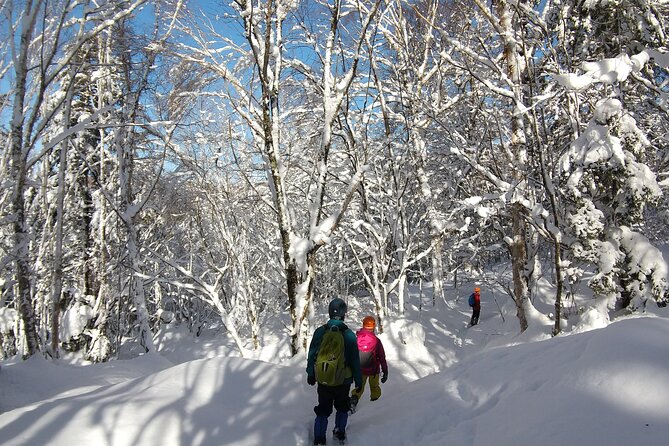 Frozen fall trekking - Who should book this trek