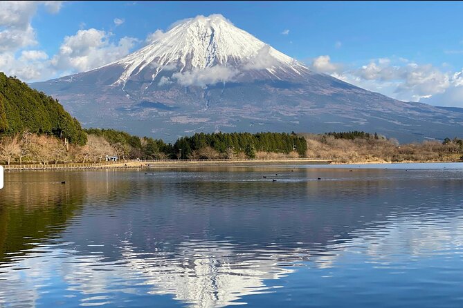 Fuji Highlights Group Car Tour by Shimizu Port with Local Guide - Key points at a glance