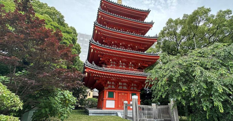 Fukuoka: Customized Private Tour - Key points to know before booking