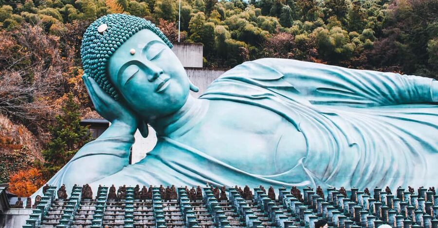 Fukuoka: Customized Tour with Local Guide - Why a Flexible Fukuoka Tour Can Work So Well