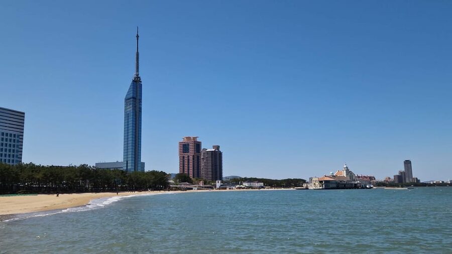 Fukuoka: Customized Tour with Local Guide - Practical Tips for a Better Tour