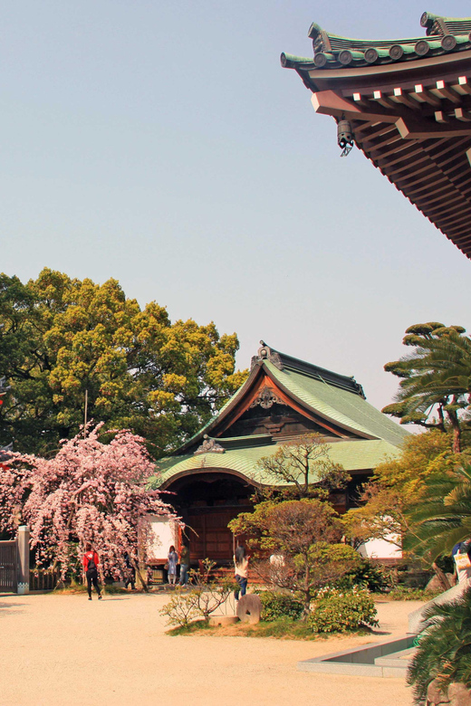 Fukuoka Essentials: History, Culture, & Charms - Shofukuji and the quiet beginning