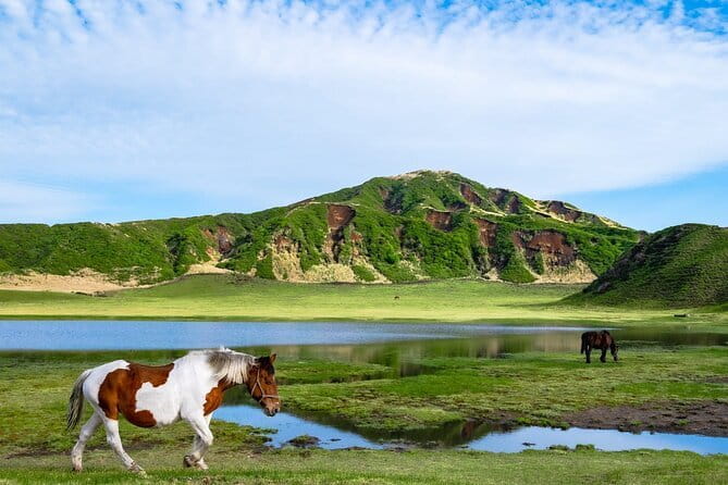 Fukuoka: Mount Aso Volcano, Kumamoto Castle, Grasslands Day Tour - A full day from Hakata to the Aso caldera